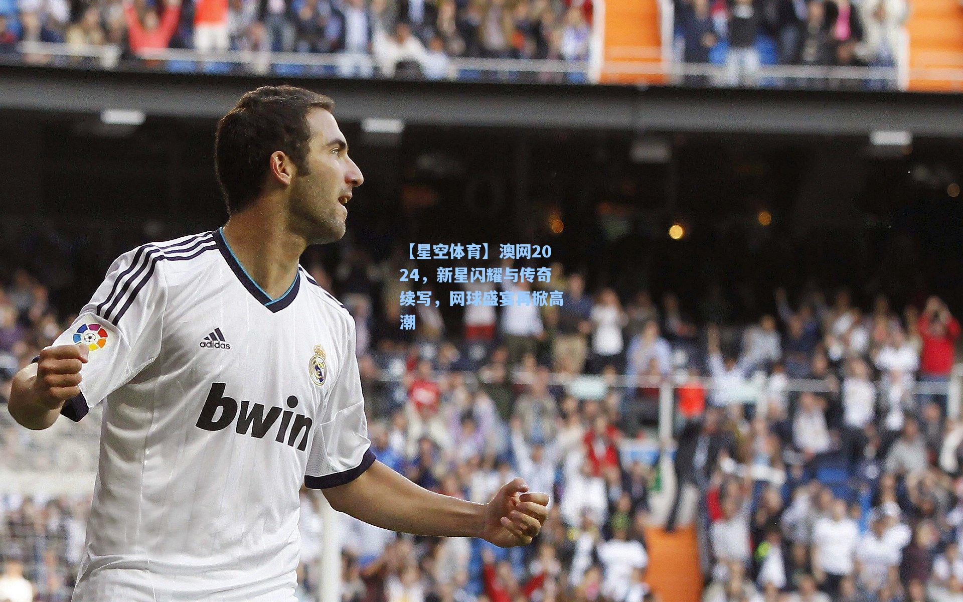 澳网2024，新星闪耀与传奇续写，网球盛宴再掀高潮